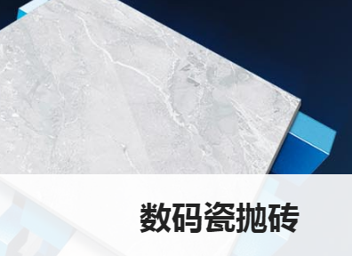 路易摩登陶瓷数码瓷抛砖