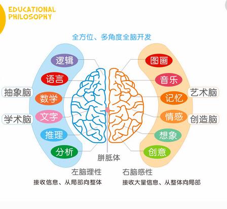 金海豚金思维导图