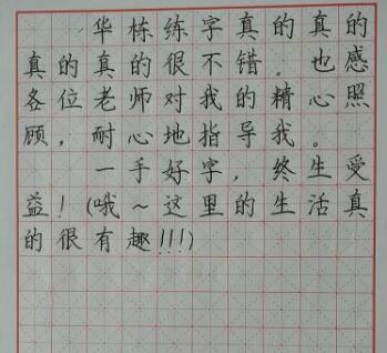 华栋练字书法