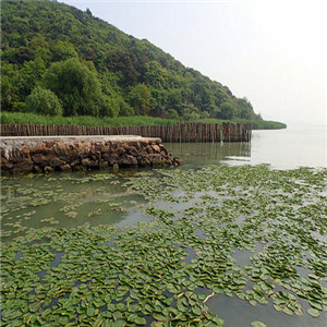 漫山岛农家乐