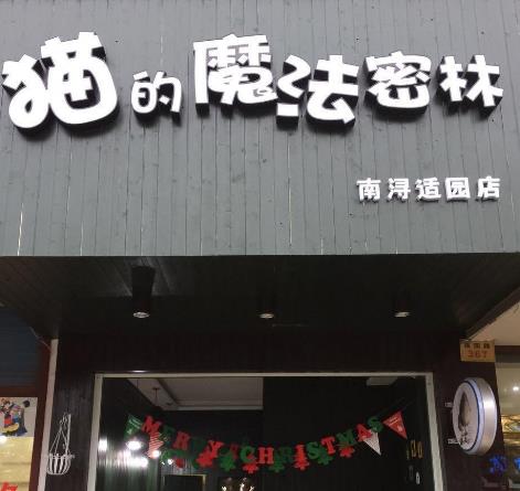 猫的魔法密林店面