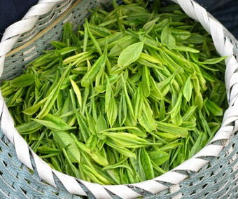 特伦生物茶业特色