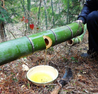 富贵竹酒健康