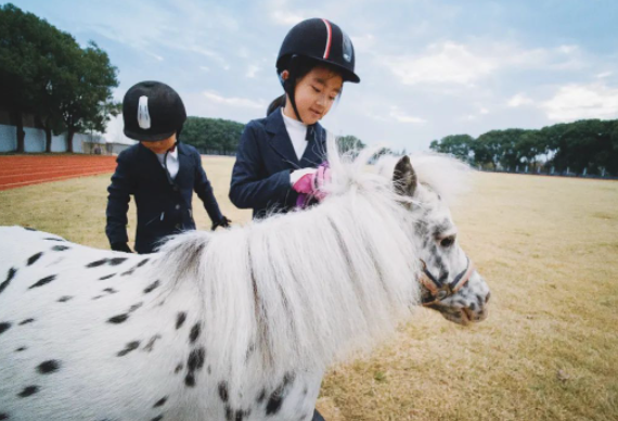 堡尼之家马术学院学习