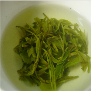 茶后茶饮