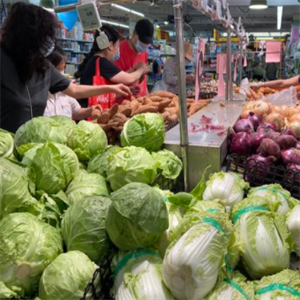 北京菜篮子店大白菜