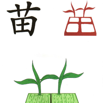 真棒识字