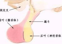 治疗方案