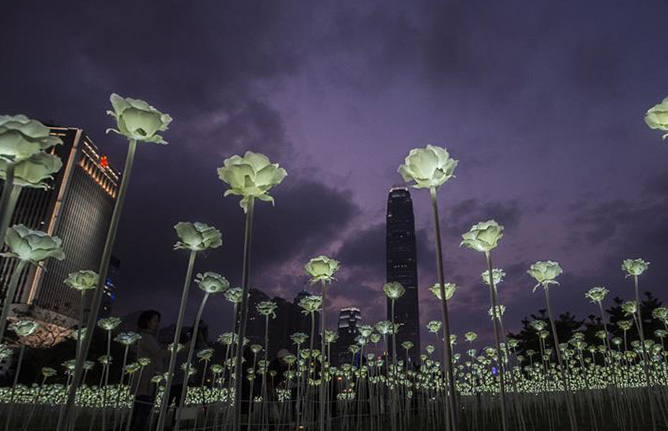 バレンタインデーに数万本のLED薔薇、香港を幻想的に照らす