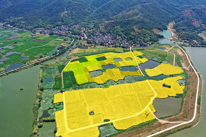 カラフルな田園地帯（撮影・魯君元）。