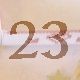 23