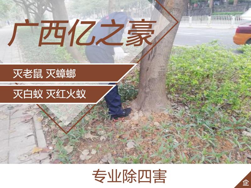 贵港公司消毒公司