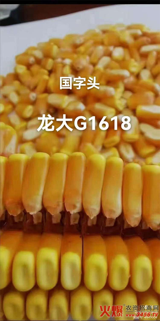 微信图片_20220207091104.jpg