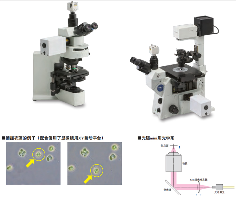 光镊Mini-LMS.jpg