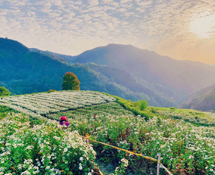 基地照片