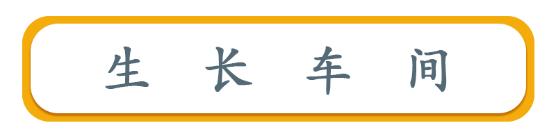 生長(cháng)車(chē)間