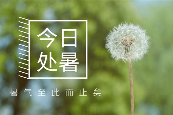 【衡陽(yáng)通用電纜】處暑不是暑，秋涼知我意