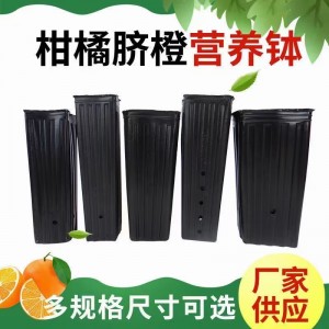 柑橘臍橙營(yíng)養(yǎng)缽-營(yíng)養(yǎng)缽-河北亞盛塑料制品廠