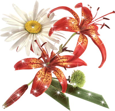 Лилии и ромашка