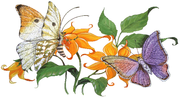 Две бабочки