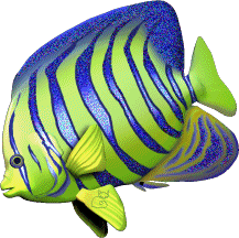 �������� ����