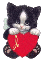 черный котик