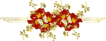 Две бабочки