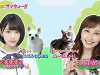 【乃木坂まとめ】堀未央奈 専用　生き物にサンキュー