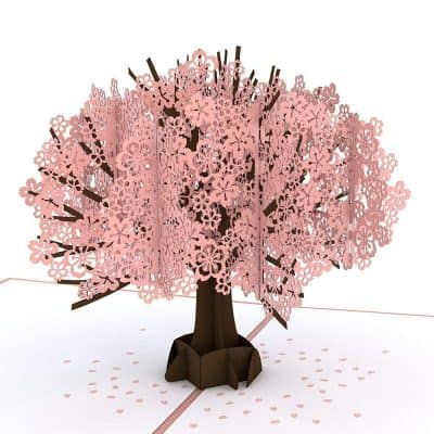 Lovepop Cherry Blossom Pop Up Card