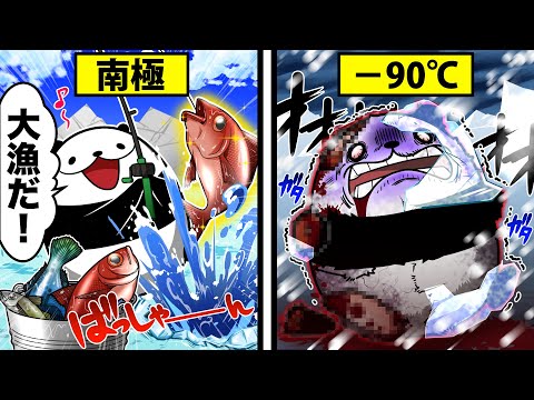 【地獄】南極で1週間過ごすとどうなるのか？【アニメ】