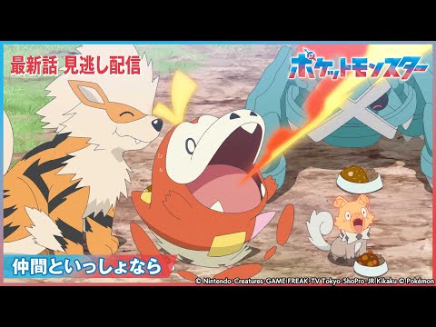 【公式】アニメ「ポケットモンスター」第27話「仲間といっしょなら」-期間限定配信-