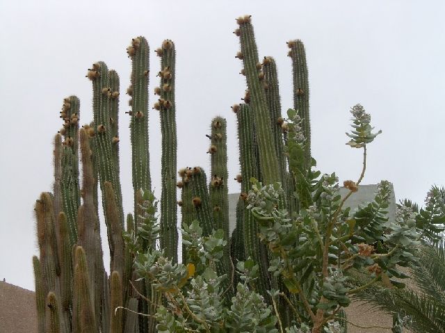 ������� � ��������� ������ [Oleg  Lerman]