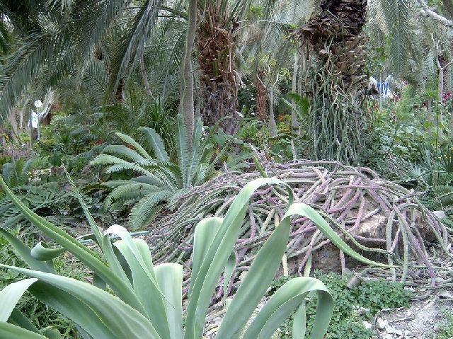 ����������-���� [Oleg  Lerman]