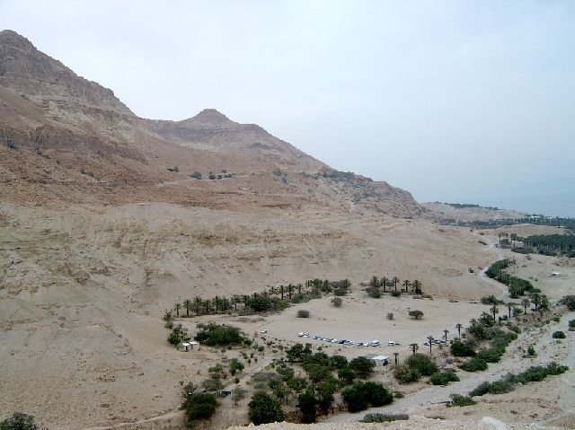 ������� ����� �������� � �������� [Oleg  Lerman]