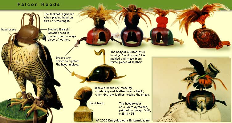 �������� []