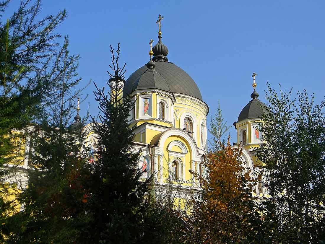  [�.�������]