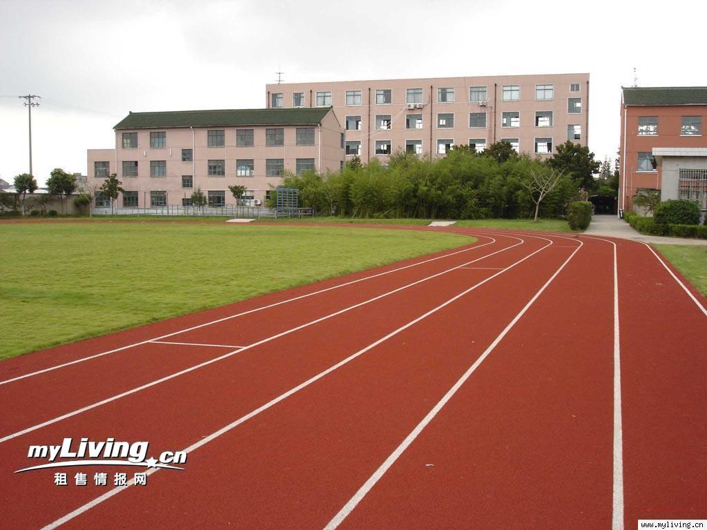 上海市奉贤区庄行中学