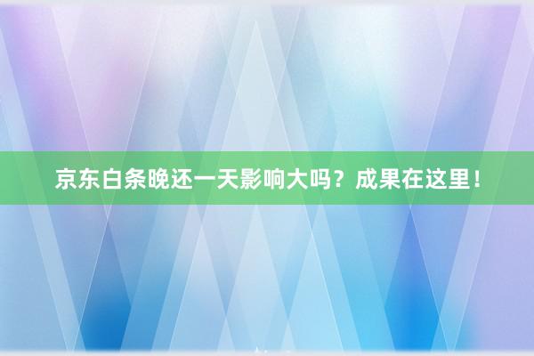 京东白条晚还一天影响大吗？成果在这里！