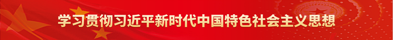 学习贯彻习近平新时代中国特色社会主义思想主题教育