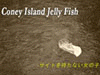 Coney Island Jelly Fish