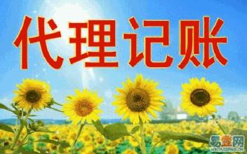 花都公司代理记账 拓南财税服务