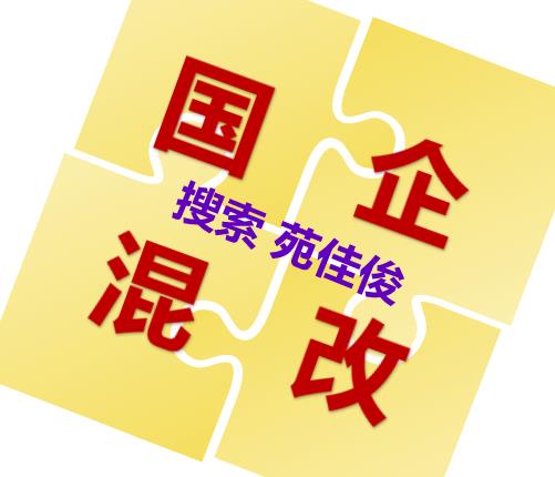 央企混改方案国企对民营企业的要求条件