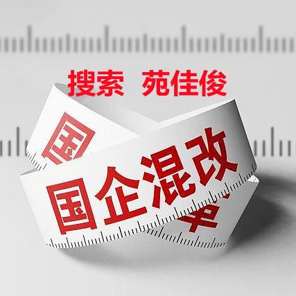 央企混改央企民企成立混改公司的问题