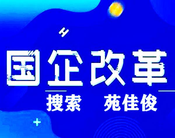 国企混改国企参股民营企业方案操作流程