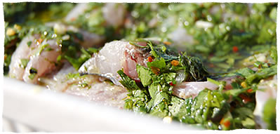 Mackerel marinato