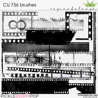 CU 756 BRUSHES