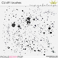 CU 691 BRUSHES