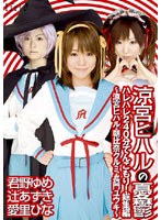 涼宮ヒハル ハレハレ240分てんこもり！総集編 〜涼宮ヒハル・朝比奈クルミ・長門ユウキ〜