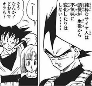 漫画 DB ベジータ 純粋なサイヤ人は当初が生後から不気味に変化したりはしない