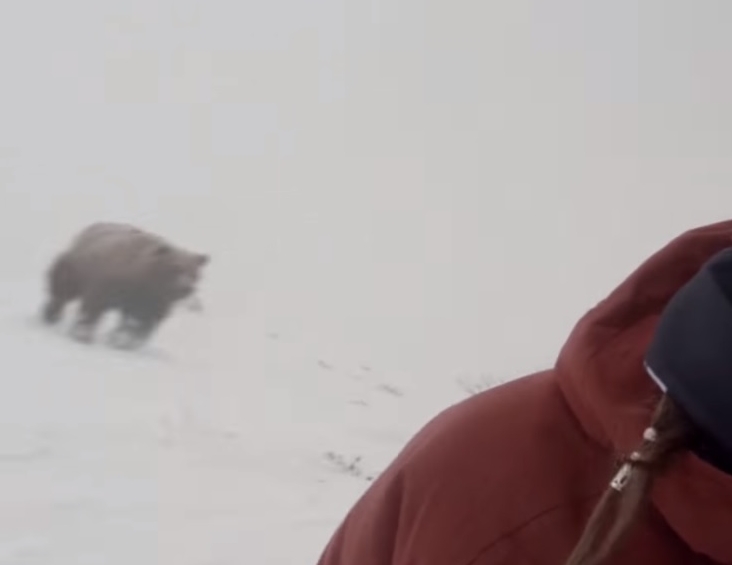 【動画】長野で撮られた怖すぎる映像　スノボ中の女性の背後に「クマ」